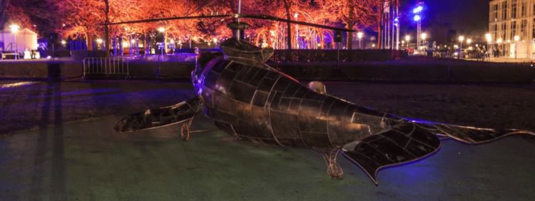 humpback gunship